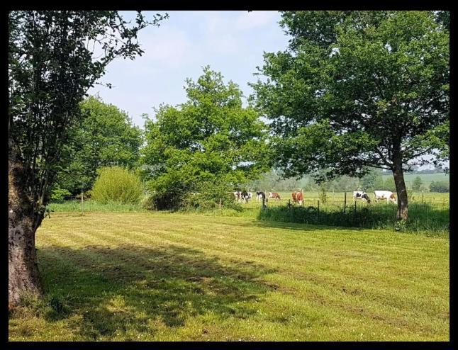L'Atelier De La Blanchardiere 49520 Bed & Breakfast Le Tremblay Bagian luar foto
